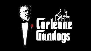 Corleone Gundogs.  Chris Upton