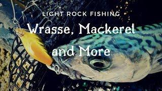 Light Rock Fishing - Wrasse, Mackerel & More in South Devon