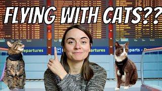 FLYING internationally with TWO CATS! || Traveling Couple