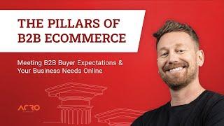 The Pillars of B2B Ecommerce — Meeting B2B Buyer Expectations & Your Business Needs Online