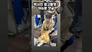 박서진 광고 촬영 현장 무슨 광고인지 알면 댓글로 알려주세요 #박서진 #박서진광고