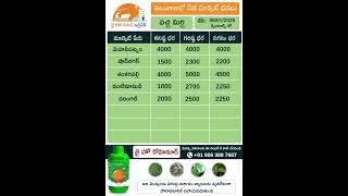 jhk market rate updates | Today Market Prices of Greenchilli  in Telangana |    @JaiHoKisan