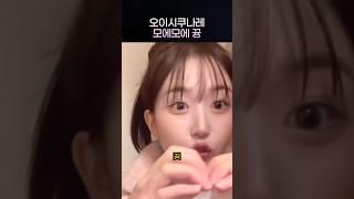 [엔믹스] 모에모에 뀽