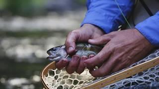 Siskiyou Snapshot: A Day at the River in Dunsmuir, CA