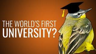 The World's First University?