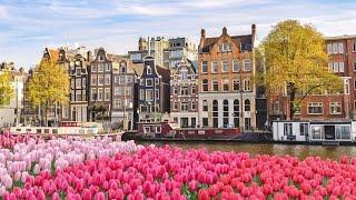 Why You Should Visit the Netherlands! #travel #vacation