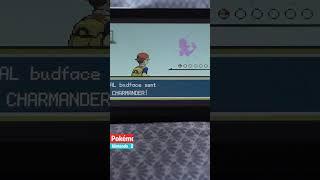 Pokémon handheld games emulated on Switch