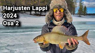 Harjusten Lappi 2024 Osa 2