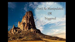 Shaykh Hamza Yusuf | Don't Be Manipulated or Triggered.