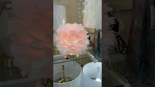 Allison Alanna Is Shopping At Home Goods