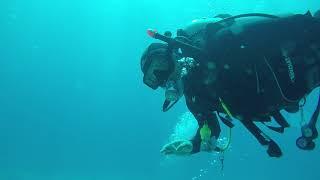 Hurgada diving 2019 01