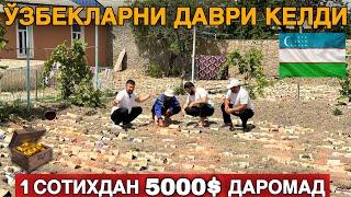 УЗБДА ЁР ОСТИДАГИ ХАЗИНА.1 СОТИХДАН 5000$ ДАРОМАД ҚИЛАДИГАН КОВРАК БИЗНЕСИ