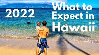 Hawaii Trip Planning 2022 | 7 Things To Know Before You Book Your Hawaii Vacation