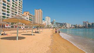 Morning Walk Gwangalli Beach and Wave Sounds Ambience | Korea Travel Guide 4K HDR