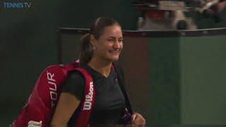 Beginner's Guide to Monica Niculescu