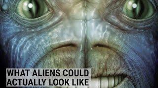 What scientists think aliens could look like