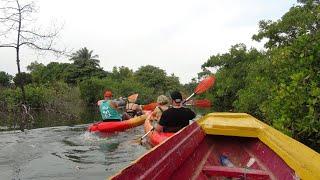 Gambia 2023-4 - with canoeing on the Tanji River