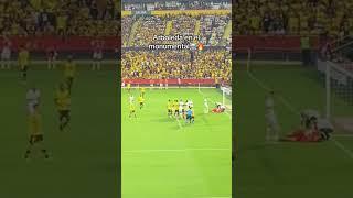 ARBOLEDA EN EL MONUMENTAL  #Ecuador #SaoPaulo #Guayaquil #Quito #BSC #Viral