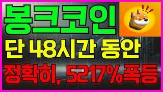 [봉크코인] 48시간 동안, 5217% 폭등 확정