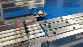 Automatic Package Line for Biscuit (turntable machine +flow wrapper + horizontal package machine)