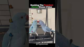 Ranking The Funniest Parrot Kisses Video  #parrot #sounds