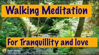 Guided Walking Meditation, Discovering our nature | Relaxing with Birdsong & voice of water