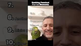 Ranking Funniest Parrot Moments #funny #parrot #shorts #tiktok