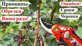 Основные ПРИНЦИПЫ ОБРЕЗКИ Винограда! ОШИБКИ, СРОКИ, ЧЕРЕНКИ