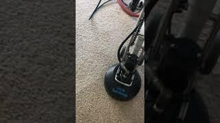 Carpet And Tile Cleaning Land O' Lakes Fl Carpet Cleaning Steam Cleaning