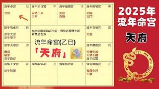 2025 蛇年運勢｜乙巳年｜天府｜流年運勢- 整體運勢、事業運、財運、工作、健康詳細解析