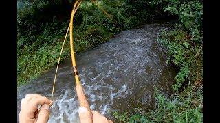 Fliegenfischen/ Erfolgreich am kleinen Bach