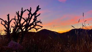 Arizona Desert Virtual Run Hike - 2+ Hours - Mesquite Canyon Trail (full) Treadmill TV