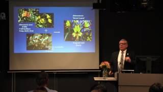 Mark Bridgen: Techniques for breeding ornamental plants