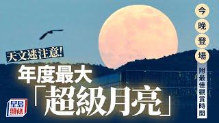 天文奇觀︱年度最大「超級月亮」今晚登場 持續3天高掛夜空 (附最佳觀賞時間)︱星島頭條新聞｜超級月亮｜滿月｜天文｜NASA｜近地點｜遠地點