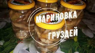 Мариновка груздей