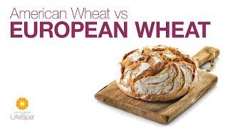 Can You Only Digest European Bread? American vs. European Wheat | John Douillard's LifeSpa