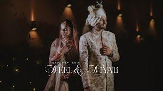 NT STUDIO | NEEL & NIYATI | WEDDING SHORT FILMS | 2024