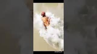 tuti gul #pashtofunnny