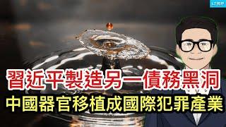 華爾街日報，習近平正製造另一個債務黑洞；中國器官移植成國際化犯罪產業；華爾街驚呼川普陣中出現首位對崋鴿派。