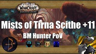 ++11 Mists of Tirna Scithe BM Hunter PoV