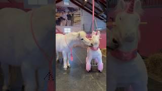 They are twins Ella is happy, they are almost identical #shorts #pony #horseriding #equestrian