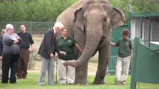 Bob Barker meets Lucy the Elephant