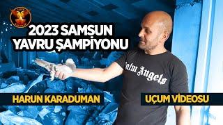 Harun Karaduman 2023 Samsun yavru şampiyonu