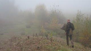 Falconry | Forgotten Footsteps