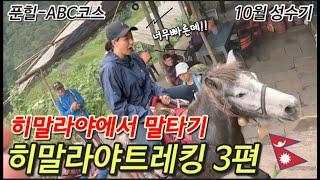 10월 푼힐-ABC , 히말라야에서 말 타봤어?!! - 히말라야트레킹(3)