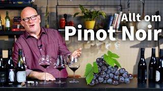 Lär dig allt om Pinot Noir | Vinsmart Academy med Michel Jamais