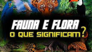 Fauna e flora: a importância desses elementos para o equilíbrio ecológico