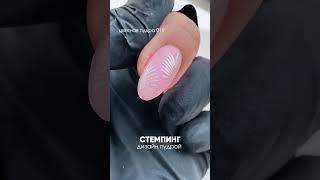 Стемпинг в титановых ногтях / дип система / дизайны на ногтях