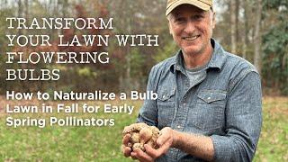 Transform Your Lawn with Flowering Bulbs | Naturalize a Bulb Lawn in Fall for Spring Pollinators