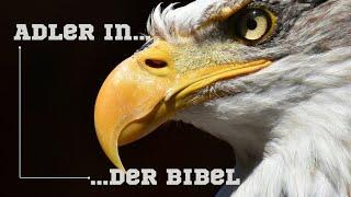 Adler in der Bibel